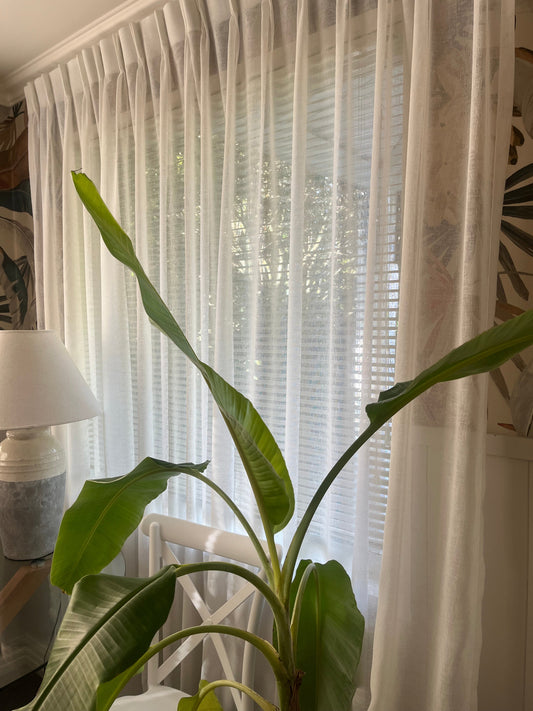 Four Years of Growth at Beauty Worx Day Spa